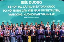 Vinh danh 100 nông dân Việt Nam xuất sắc, 63 hợp tác xã tiêu biểu năm 2023