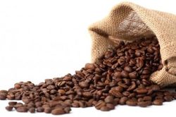 Giá cà phê hôm nay 14/10/2023: Giá cà phê tăng mạnh phiên cuối tuần, dự báo giá robusta từ nay đến cuối năm?