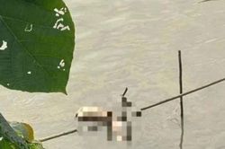Công an Hà Nội tìm tung tích cô gái bị phân thành nhiều mảnh ở sông Hồng