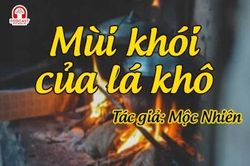 Tản văn hay: Mùi khói của lá khô