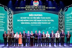 Tôn vinh 100 Nông dân xuất sắc, 63 Hợp tác xã tiêu biểu