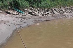 Thi thể nữ giới phân thành 4 mảnh trên sông Hồng