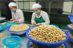 Kim ngạch thương mại giữa Việt Nam - Campuchia đạt gần 5 tỷ USD trong 9 tháng