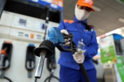 Giá xăng dầu hôm nay 14/10: Cập nhật giá xăng dầu trong nước, quốc tế