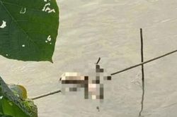 Thông tin mới vụ thi thể người bị phân thành nhiều mảnh ở sông Hồng