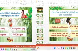 Kiểm tra đánh giá, thường xuyên qua tổ chức trò chơi