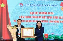 Những thành tích giúp VFF được tặng thưởng Huân chương Lao động hạng Ba