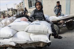 Xung đột Hamas-Israel: Ai Cập ghi nhận thêm chuyến bay chở hàng viện trợ cho Gaza