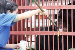 Nhà cho gấu giữa Bạch Mã