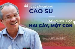 Bầu Đức và một thập kỷ giải bài toán trồng cây nào, nuôi con gì