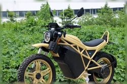 Mẫu xe điện độc lạ chỉ có 1 giảm xóc trước