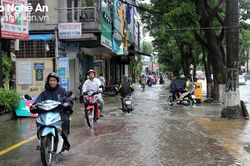 Nghệ An chủ động ứng phó vùng áp thấp có khả năng mạnh lên thành áp thấp nhiệt đới