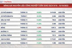 Khối lượng xuất khẩu cà phê giảm nhưng kim ngạch dự báo vẫn đạt tương đương năm 2022