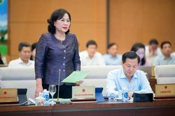 Thống đốc Nguyễn Thị Hồng 'thanh minh' về nghịch lý trong điều hành chính sách tiền tệ