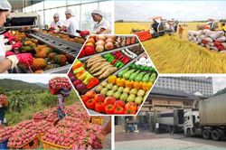 Ngành nông, lâm, thủy sản quyết giữ mục tiêu xuất khẩu 54 tỷ USD