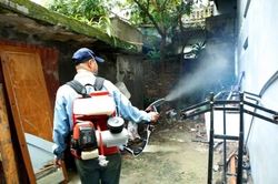 Sẽ tiêm thử nghiệm vắc xin sốt xuất huyết
