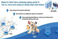 Áp dụng quản lý rủi ro phòng, chống các vi phạm về thuế