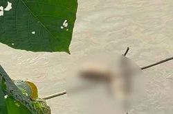 Thông tin mới nhất về vụ sát hại Hồ Yến Nhi: Rùng rợn lời khai của hung thủ