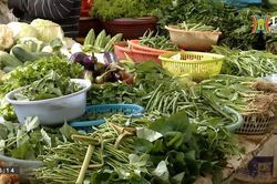 Giá các loại rau xanh tăng cao