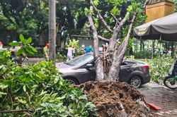 Những khu vực không nên đỗ ô tô khi trời mưa bão