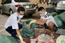 Phát hiện 2 tấn tai lợn bốc mùi đang chuyển đi tiêu thụ