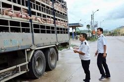 Gia tăng tình trạng nhập lậu động vật, cần xem xét trách nhiệm người đứng đầu