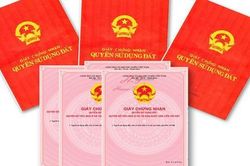 Số định danh cá nhân được ghi trên sổ đỏ trong trường hợp nào?