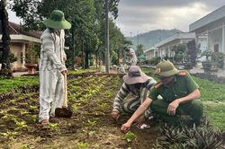 Phạm nhân đang thi hành hình phạt tù có được giảm án không