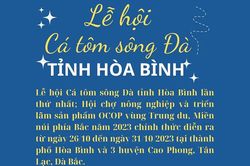 Lễ hội Cá tôm sông Đà