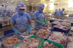 Xuất khẩu cá tra lần đầu tiên ghi nhận tăng trưởng dương kể từ đầu năm