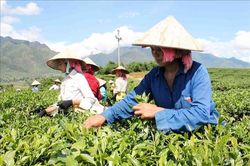 Bước tiến mới trong giảm nghèo bền vững
