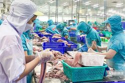 Xuất khẩu cá tra lần đầu tăng trưởng dương kể từ đầu năm