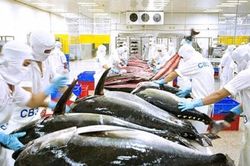 Xuất khẩu thủy sản sang Mỹ tháng 9 đạt 150 triệu USD