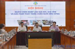 Nhập lậu khiến ngành chăn nuôi Việt khó phát triển bền vững