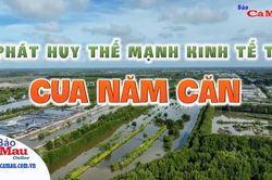 Phát huy thế mạnh kinh tế từ cua Năm Căn