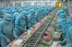 Tiềm năng lớn xuất khẩu hàng hóa Việt Nam sang Trung Quốc