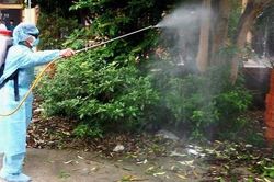 Đà Nẵng phát hiện một trường hợp nghi ngờ mắc đậu mùa khỉ