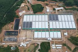 Trang trại nuôi lợn của Công ty CP đầu tư nông nghiệp Agri-Vina bị phạt 70 triệu đồng