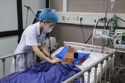 Bắt rắn cạp nia bỏ vào cặp, bé trai 7 tuổi bị cắn nguy kịch