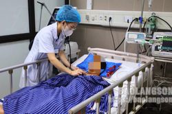Học sinh lớp 2 bị rắn cắn nguy kịch