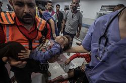 Xung đột Hamas - Israel: Đức và Ai Cập phối hợp tìm cách đẩy nhanh hỗ trợ nhân đạo