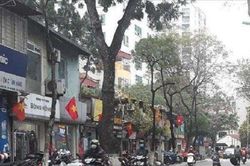 Thí điểm tổ chức giao thông tuyến phố Đội Cấn từ 21/10