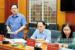 Đoàn đại biểu Quốc hội tỉnh tổ chức lấy ý kiến góp ý vào một số dự thảo luật (sửa đổi)