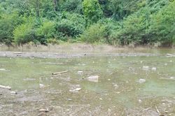 Thu gom và xử lý rác thải vô cơ 'đọng' trên lòng hồ sông Chảy
