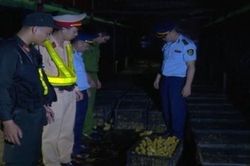 Kiểm soát chặt nhập lậu gia cầm, bảo vệ ngành chăn nuôi trong nước