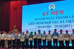 Liên minh HTX tỉnh Thái Bình: 30 năm đồng hành cùng kinh tế tập thể