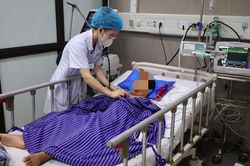 Bắt rắn bỏ vào cặp mang đến lớp, bé trai bị rắn cắn liệt toàn thân, phải thở máy