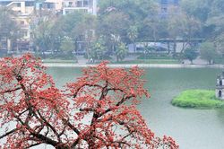 Hà Nội ngày nắng, đêm có mưa rào và dông, cục bộ có mưa vừa, mưa to
