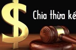 Con riêng của bố đòi chia thừa kế, giải quyết thế nào?