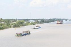 Nghẽn vận tải thủy ĐBSCL - Bài cuối: Lời giải từ thực hiện đồng bộ quy hoạch